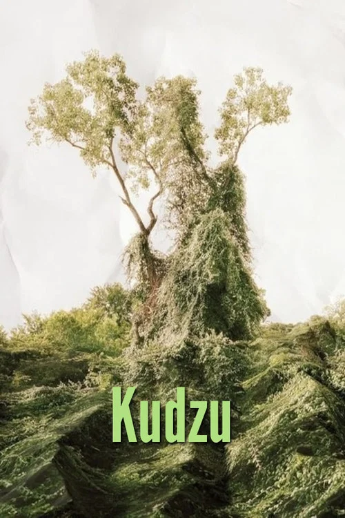 Постер: Кудзу
