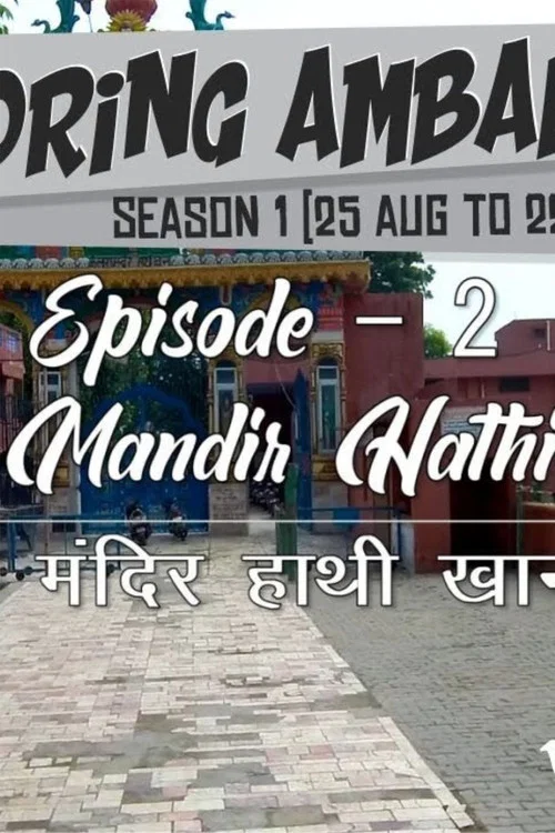 Постер: Exploring Ambala