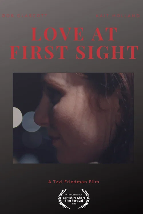 Постер: Love At First Sight