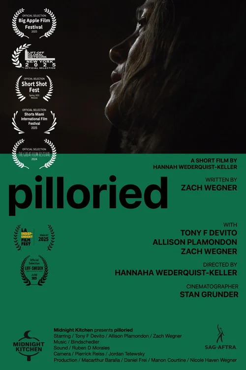 Постер: Pilloried