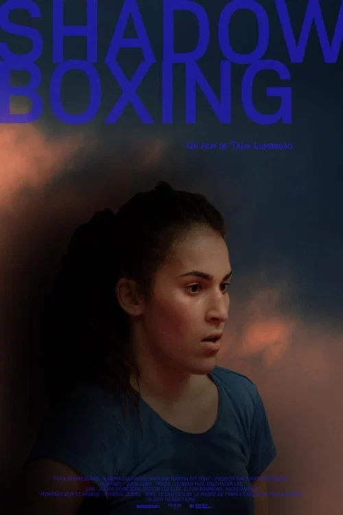 Постер: Shadow Boxing