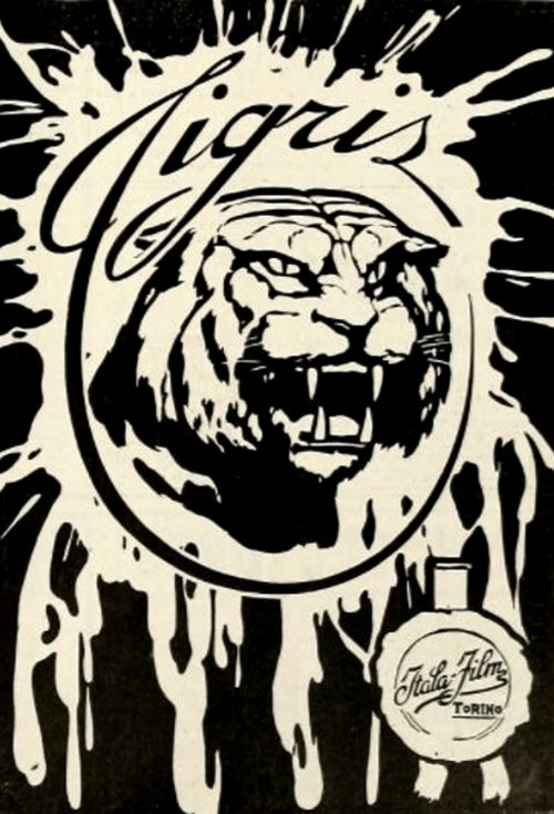 Постер: Tigris