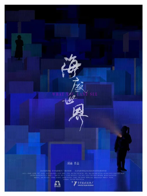 Постер: What You Can't See