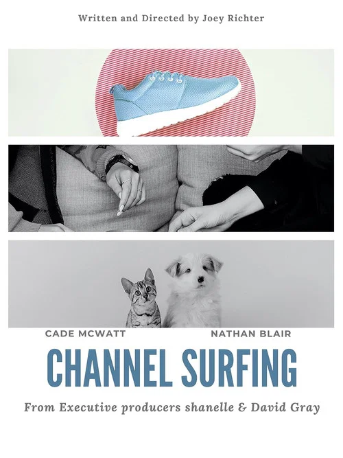 Постер: Channel Surfing
