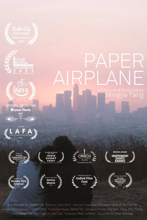 Постер: Paper Airplane