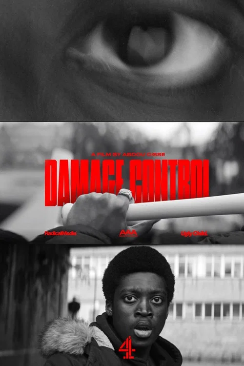Постер: Damage Control