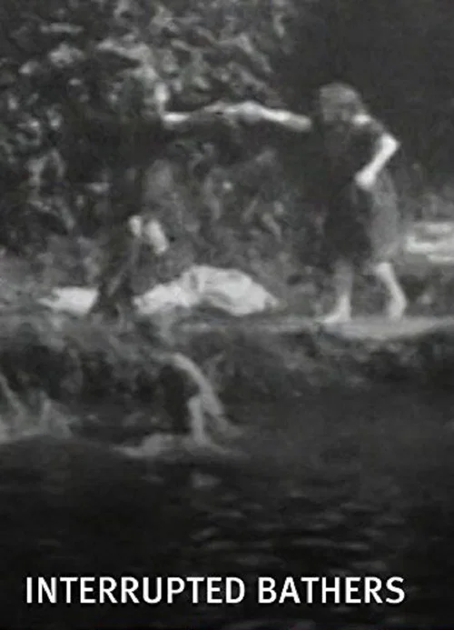 Постер: The Interrupted Bathers