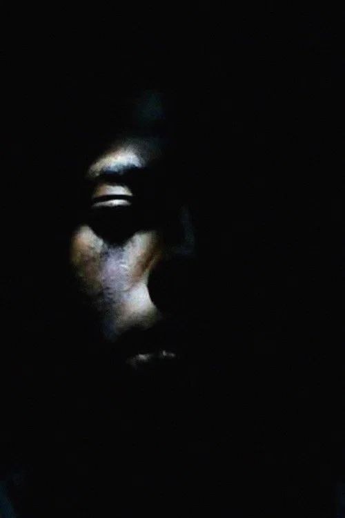 Постер: The Black Box