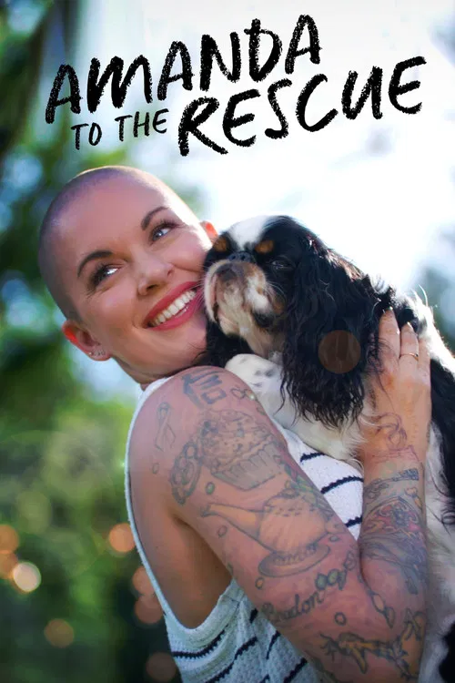 Постер: The Rescue