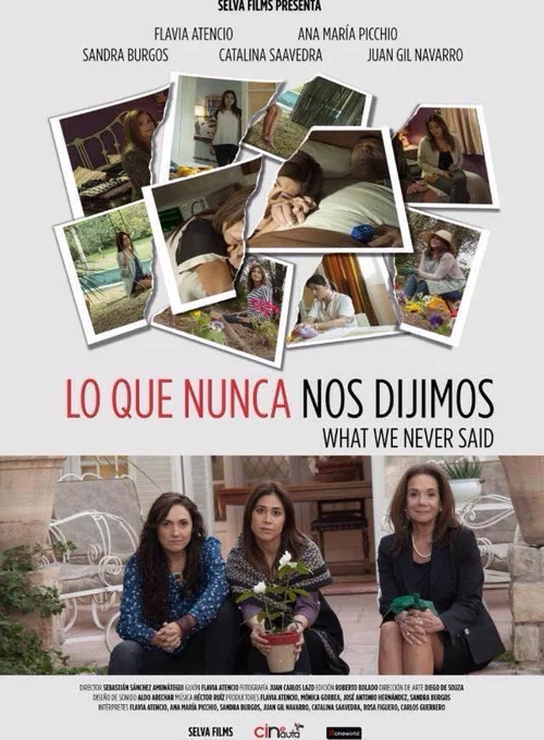 Постер: Lo que nunca nos dijimos
