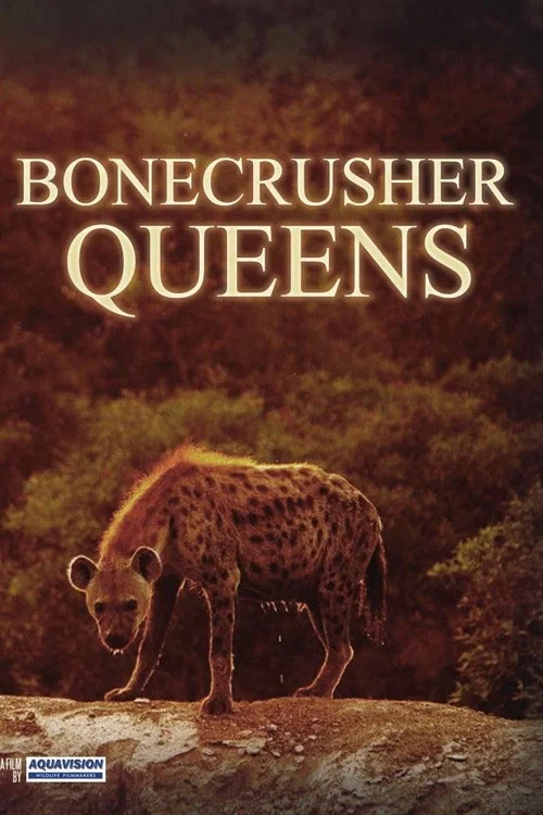 Постер: Bonecrusher