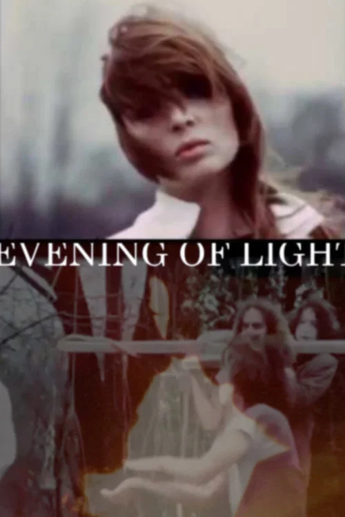 Постер: Nico: Evening of Light