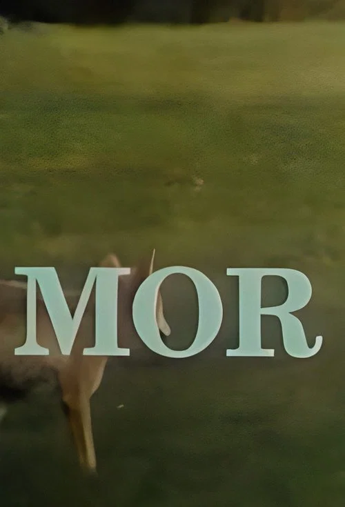 Постер: Mor
