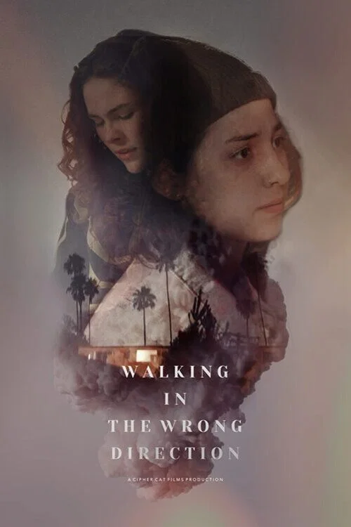 Постер: Walking in the Wrong Direction
