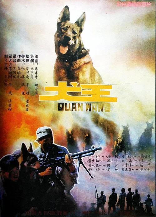 Постер: Quan wang