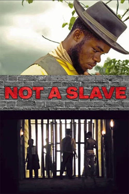 Постер: Not a Slave