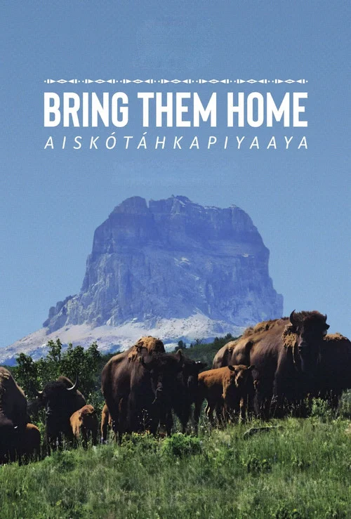 Постер: Bring Them Home