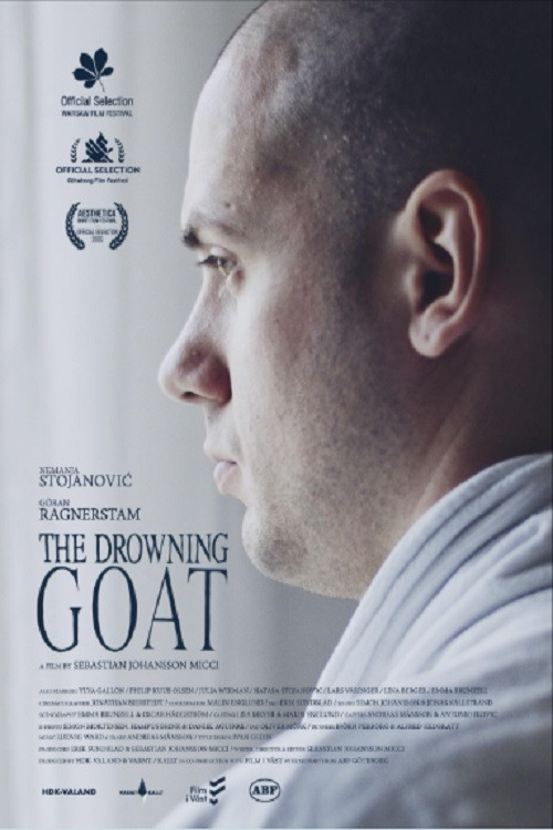 Постер: The Drowning Goat