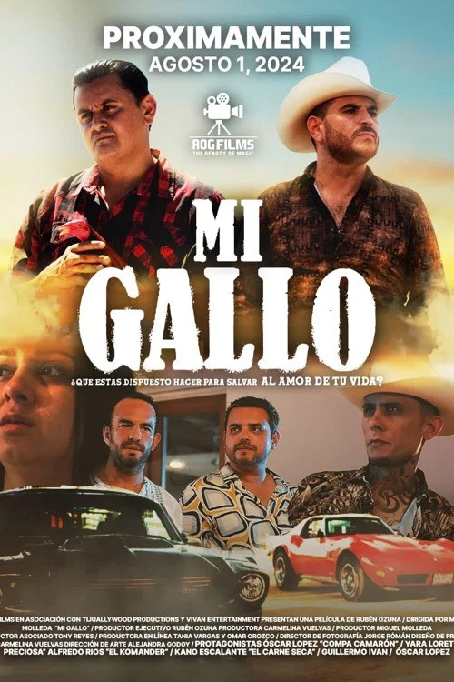 Постер: Mi Gallo