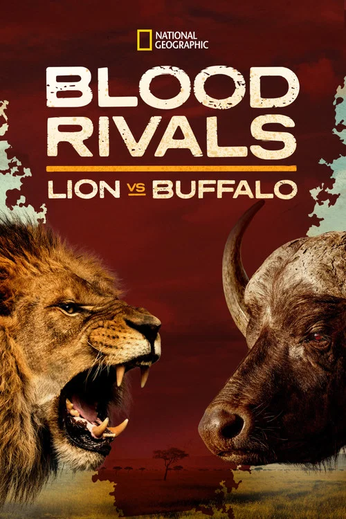 Постер: Blood Rivals Lion vs Buffalo: Buffalo Fortress