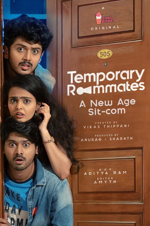 Постер: Temporary Roommates