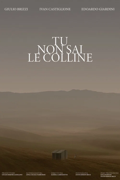 Постер: Tu Non Sai Le Colline