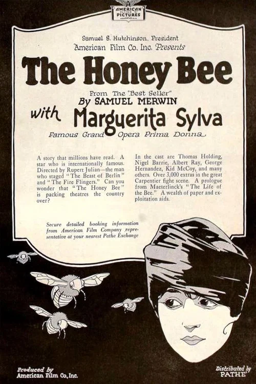 Постер: The Honey Bee