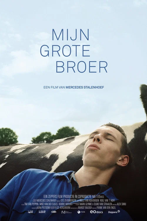 Постер: Mijn grote broer