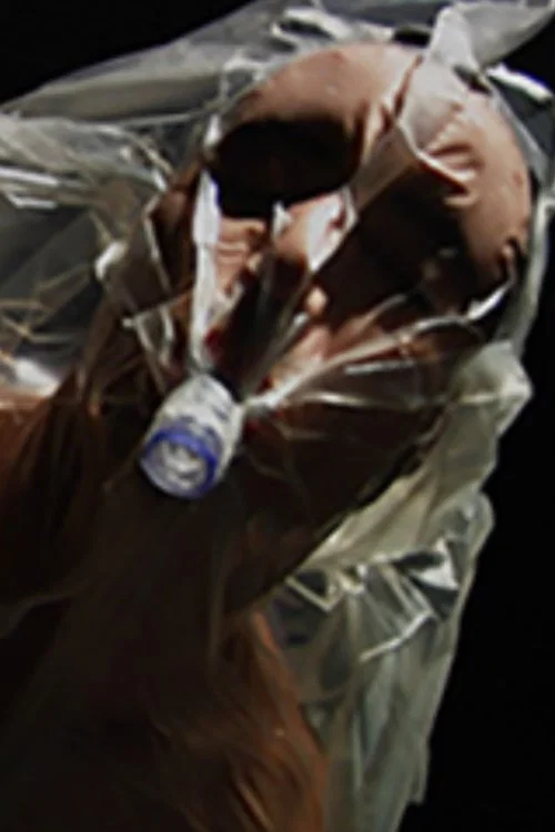 Постер: Body Bag