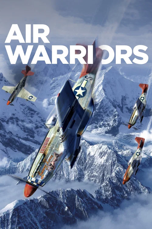 Постер: Air Warriors