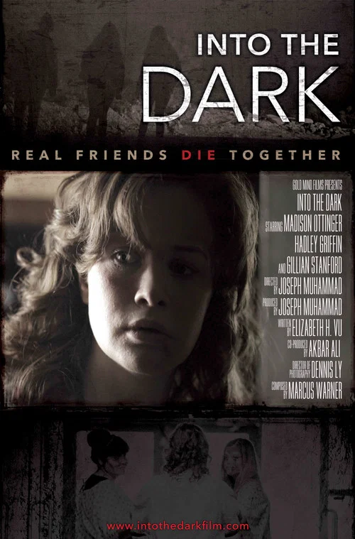 Постер: Into the Dark