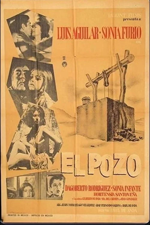 Постер: El pozo