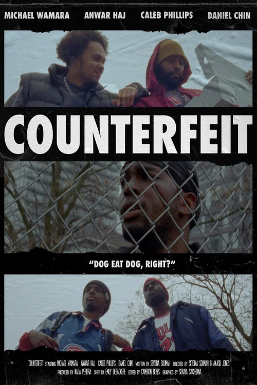 Постер: Counterfeit