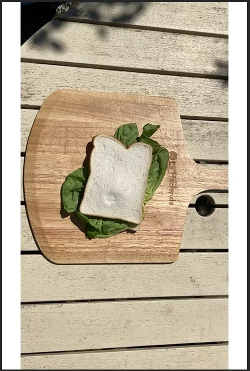 Постер: The Sandwich