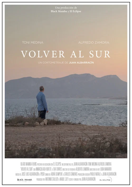 Постер: Volver al sur