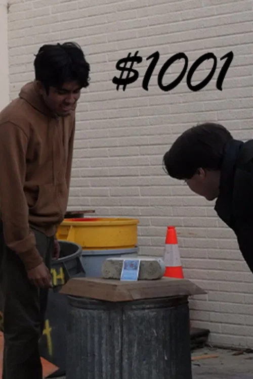 Постер: 1001