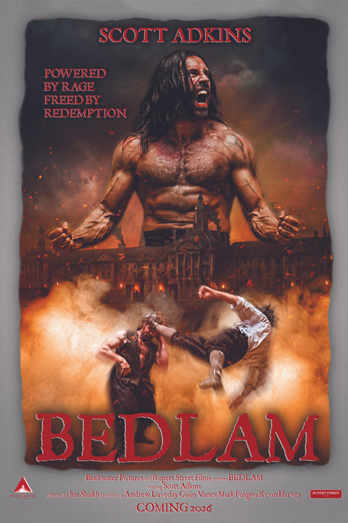 Постер: Bedlam