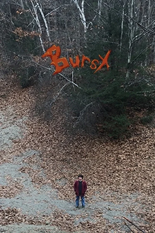 Постер: Burst!
