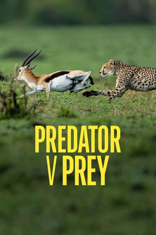 Постер: Predator v Prey