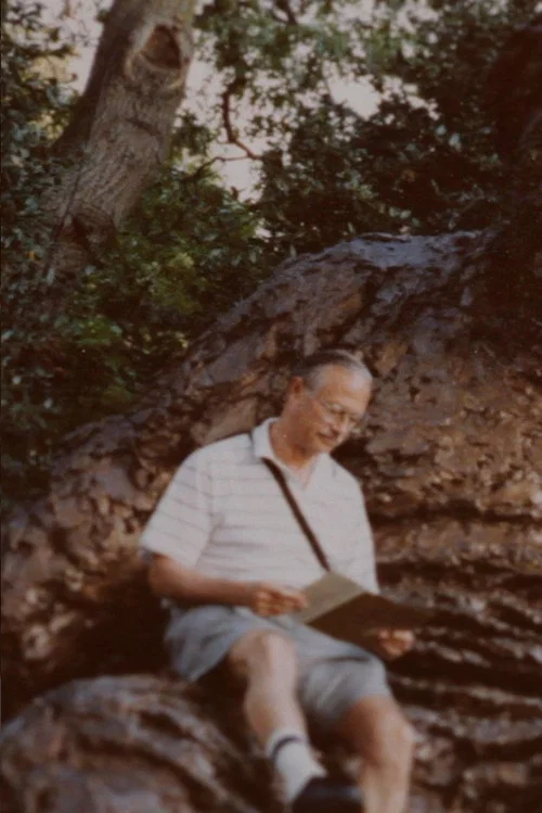 Постер: 27 Thoughts About My Father