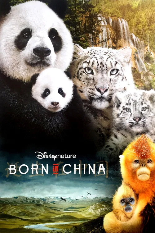 Постер: China