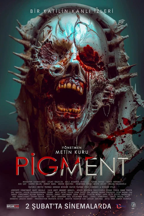 Постер: Pigment