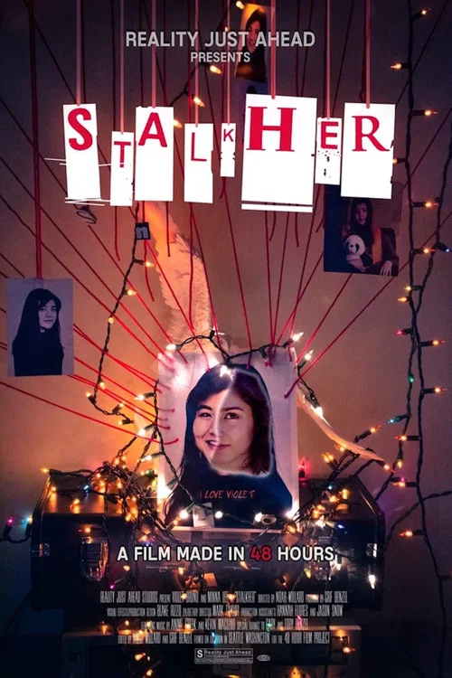 Постер: StalkHer