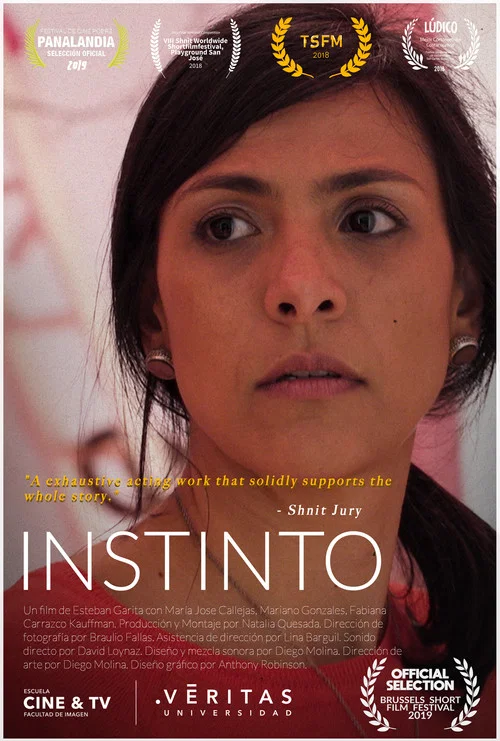 Постер: The Insctint
