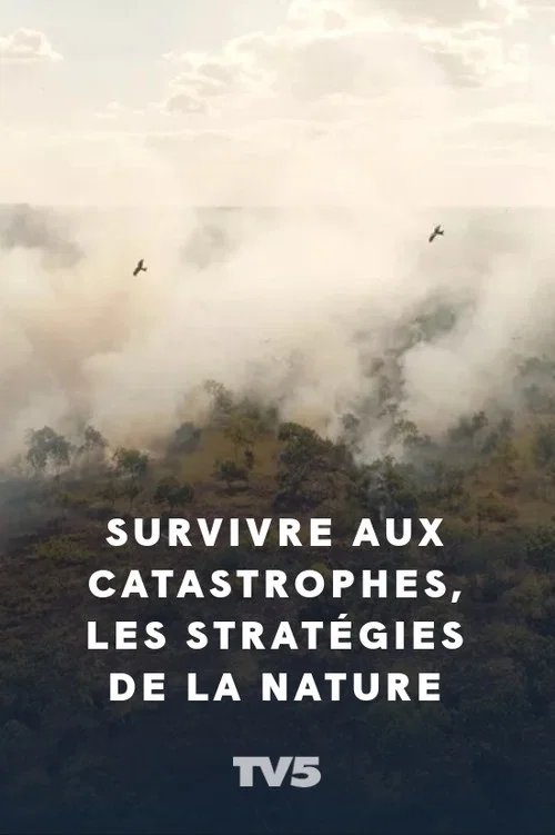 Постер: Survivre aux catastrophes: les stratégies de la nature