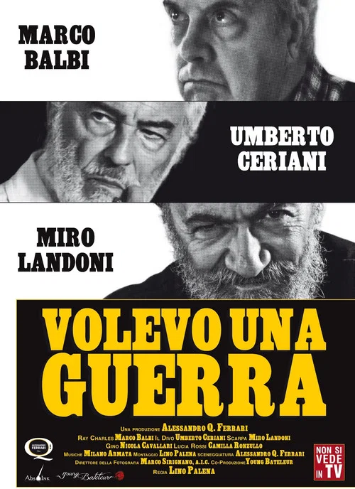 Постер: Volevo una guerra