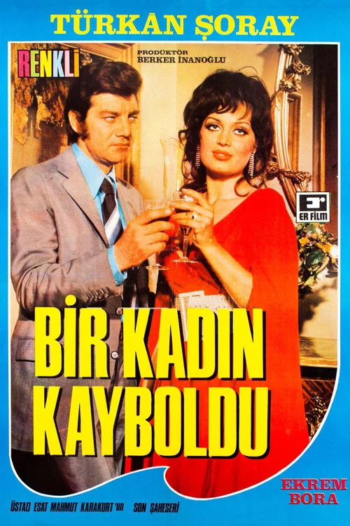 Постер: Bir Kadin Kayboldu