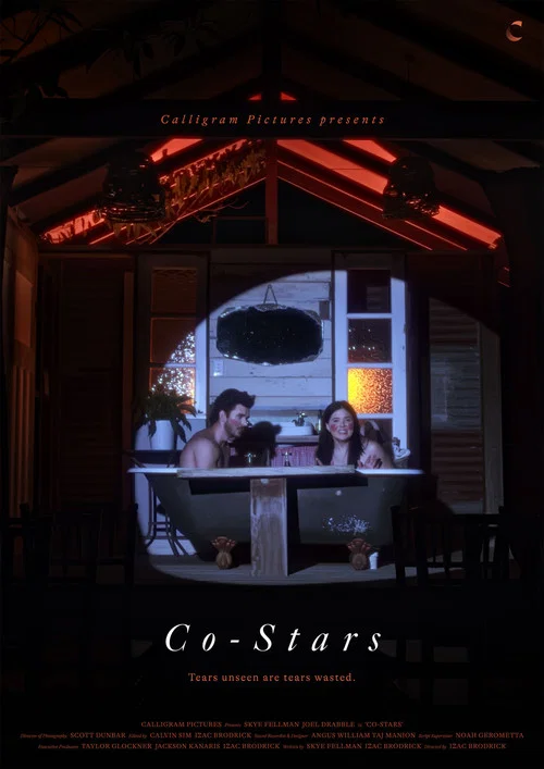 Постер: Co-Stars