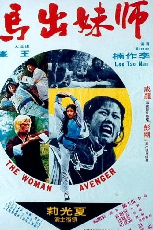 Постер: Shi mei chu ma