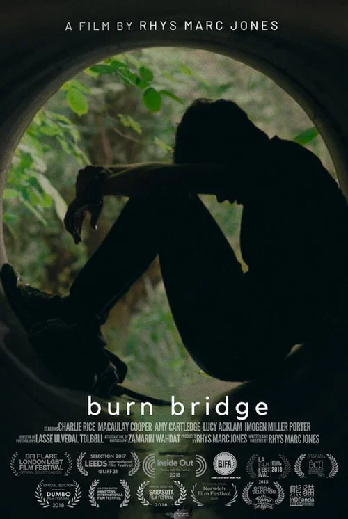 Постер: Burn Bridge